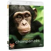 Image de Chimpanzee