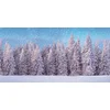 Image de Achtergrond doek Sneeuwbos XL 300 x 150 cmMy Village