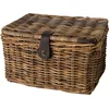 Image de Fastrider Sera Rotan Fietsmand - Bruin - 26L - Handgemaakt - met Klep