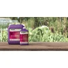 Image de Terra Bloom