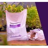Image de PLAGRON BAT GUANO 1 LITER