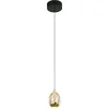Image de Highlight - Hanglamp Golden Egg 1 lichts amber-zwart