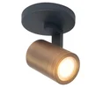 Image de Opbouwspot Aston | Brons Metaal | Rond | GU10 | 1-voudig |   10cm