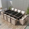 Image de vidaXL - 13-delige - Tuinset - met - kussens - poly - rattan - beige