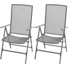Image de vidaXL - Tuinstoelen - stapelbaar - 2 - st - staal - grijs