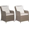Image de vidaXL - Tuinstoelen - 2 - st - met - kussens - poly - rattan - bruin