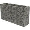 Image de vidaXL - Gabion - plantenbak - verhoogd - 180x50x100 - cm - gegalvaniseerd - staal