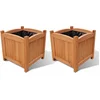 Image de vidaXL - Plantenbakken - verhoogd - 2 - st - 30x30x30 - cm - hout