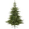 Image de Everlands Grandis Fir kunstkerstboom 210 cm - Zonder verlichting