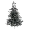 Image de Everlands Grandis fir - kunstkerstboom met sneeuw groen, wit 2,4m x 1,62m
