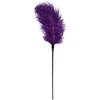 Image de EasyToys - Paarse, Lange Kietelaar met Veren - Tickler - BDSM - Sex Toys voor Vrouwen en Mannen - Paars
