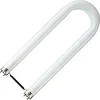 Image de SPL 2G13 T8 U-Vorminge TL-Buis | 36W 3500K 3100lm 835 | 525mm