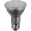 Image de SPL LED PAR20 Glass - 5W / DIMBAAR / IP65 (voor buiten)