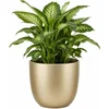 Image de Mica Decorations Bloempot - goud - glanzend - keramiek - 28 x 25 cm - plantenpotten