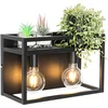 Image de QAZQA cage rack - Industriele Wandlamp voor binnen - 2 lichts - D 18 cm - Zwart - Industrieel - Woonkamer | Slaapkamer | Keuken