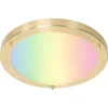 Image de QAZQA yuma - Moderne Dimbare LED Smart Plafondlamp incl. wifi met Dimmer voor buiten - 1 lichts - Ø 31 cm - Goud/messing - Buitenverlichting