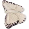Image de Wereld Natuurfonds Knuffel Vlinder - 20 cm - Wit - Grijs