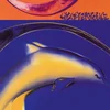 Image de Mesmerise