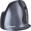 Image de Evoluent D Draadloos Large Rechtshandig - Ergonomische Muis
