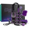Image de b'Secret Pleasure Chest - Purple Apprentice'