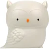 Image de Lampje kinderkamer / kinderlampje: Uil | A Little Lovely Company