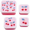 Image de A Little Lovely Company Lunch & Snack Box Set | Kersen