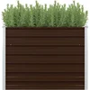 Image de vidaXL - Plantenbak - verhoogd - 100x100x77 - cm - gegalvaniseerd - staal - bruin