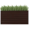 Image de vidaXL - Plantenbak - verhoogd - 160x40x77 - cm - gegalvaniseerd - staal - bruin