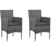 Image de vidaXL - Tuinstoelen - 2 - st - poly - rattan - grijs