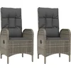 Image de vidaXL - Tuinstoelen - 2 - st - poly - rattan - grijs