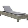 Image de vidaXL - Ligbed - met - kussen - poly - rattan - grijs