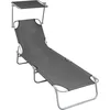 Image de vidaXL - Ligbed - inklapbaar - met - luifel - aluminium - grijs