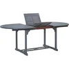 Image de vidaXL - Tuintafel - 200x100x75 - cm - massief - acaciahout - grijs