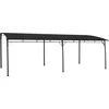 Image de vidaXL - Zonneluifel - 6x3x2,55 - m - antracietkleurig
