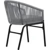 Image de vidaXL - Tuinstoelen - 2 - st - PE-rattan - antracietkleurig