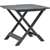 Image de vidaXL - Tuintafel - inklapbaar - 79x72x70 - cm - kunststof - antraciet