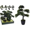 Image de Homestyle Bonsai Boom In Pot - Decoratie - 50 cm Assorti