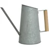 Image de Decoratieve gieter EDM 850776 Vintage Gegalvaniseerd 1,5 L 12 x 29 x 22 cm