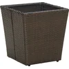 Image de vidaXL - Salontafel - 41,5x41,5x44 - cm - poly - rattan - en - gehard - glas - bruin