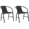 Image de vidaXL - Tuinstoelen - 2 - st - 110 - kg - kunststof - rattan - en - staal