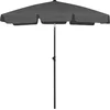 Image de vidaXL - Strandparasol - 180x120 - cm - antracietkleurig