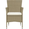 Image de vidaXL - 11-delige - Tuinset - poly - rattan - beige