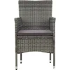 Image de vidaXL - 11-delige - Tuinset - poly - rattan - grijs
