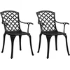 Image de vidaXL - Tuinstoelen - 2 - st - gietaluminium - zwart