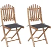 Image de vidaXL - Tuinstoelen - 2 - st - inklapbaar - met - kussens - bamboe