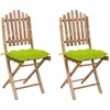 Image de vidaXL - Tuinstoelen - 2 - st - inklapbaar - met - kussens - bamboe