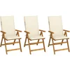 Image de vidaXL - Tuinstoelen - 3 - st - inklapbaar - met - kussens - massief - acaciahout