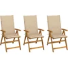 Image de vidaXL - Tuinstoelen - 3 - st - inklapbaar - met - kussens - massief - acaciahout