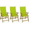 Image de vidaXL - Tuinstoelen - 3 - st - inklapbaar - met - kussens - massief - acaciahout