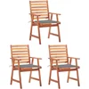 Image de vidaXL - Tuinstoelen - 3 - st - met - kussens - massief - acaciahout